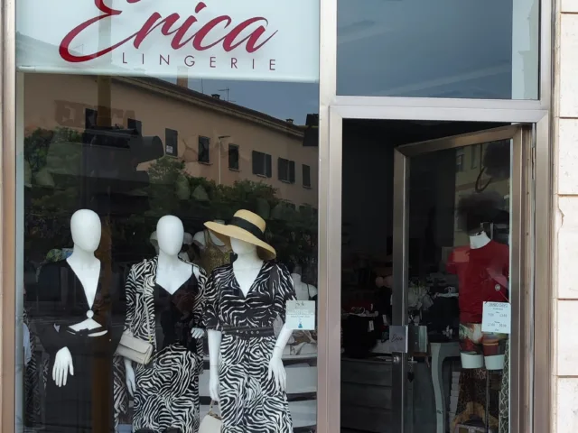 Erica Lingerie