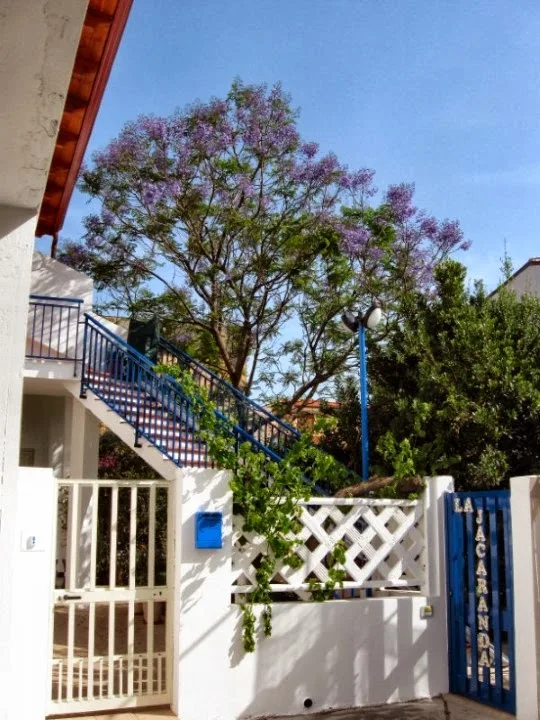 B&B La Jacaranda