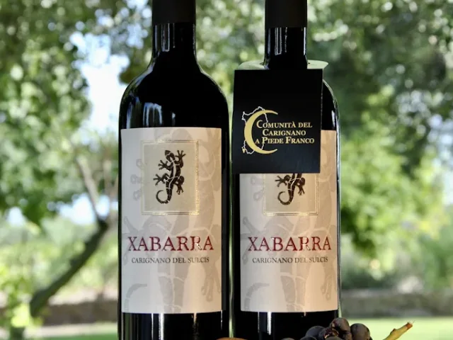 Azienda Vinicola XABARRA