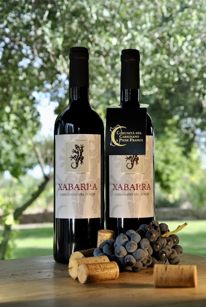 Azienda Vinicola XABARRA