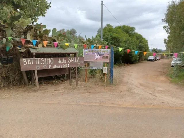 Maneggio Club Happy Horse