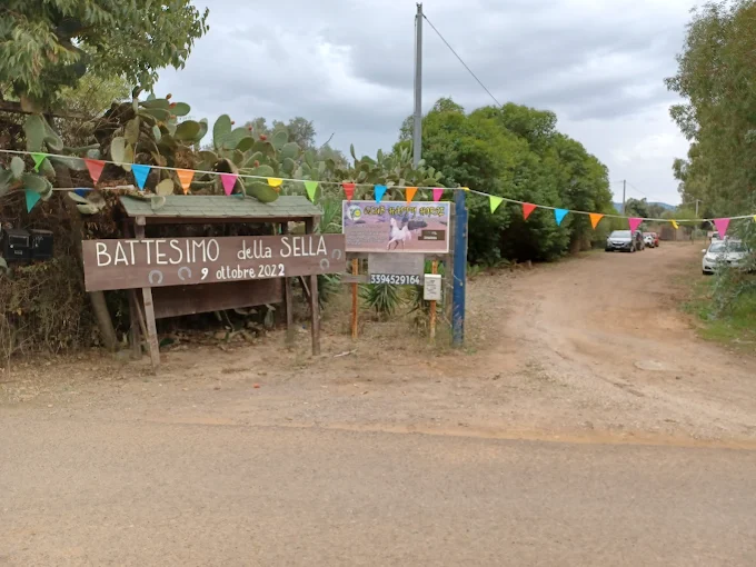 Maneggio Club Happy Horse