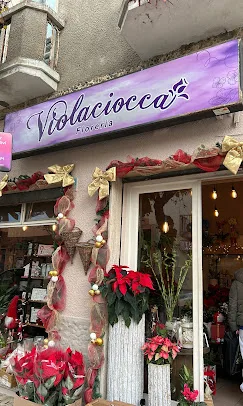 Violaciocca