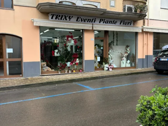 TRIXY- La maison des fleurs