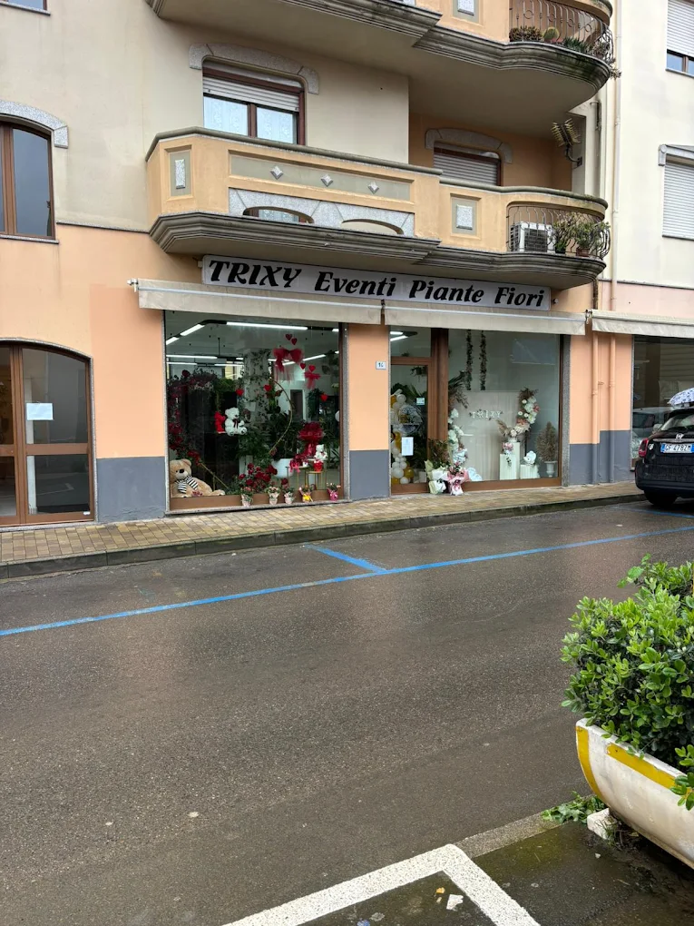 TRIXY- La maison des fleurs