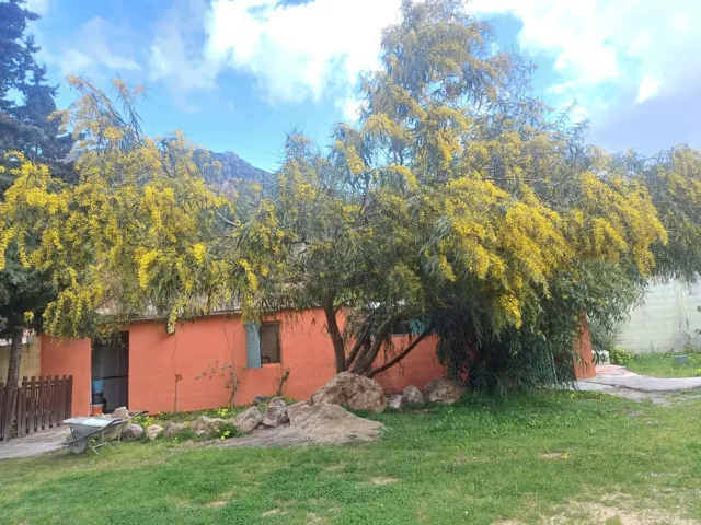 B&B Stella Sulcitana