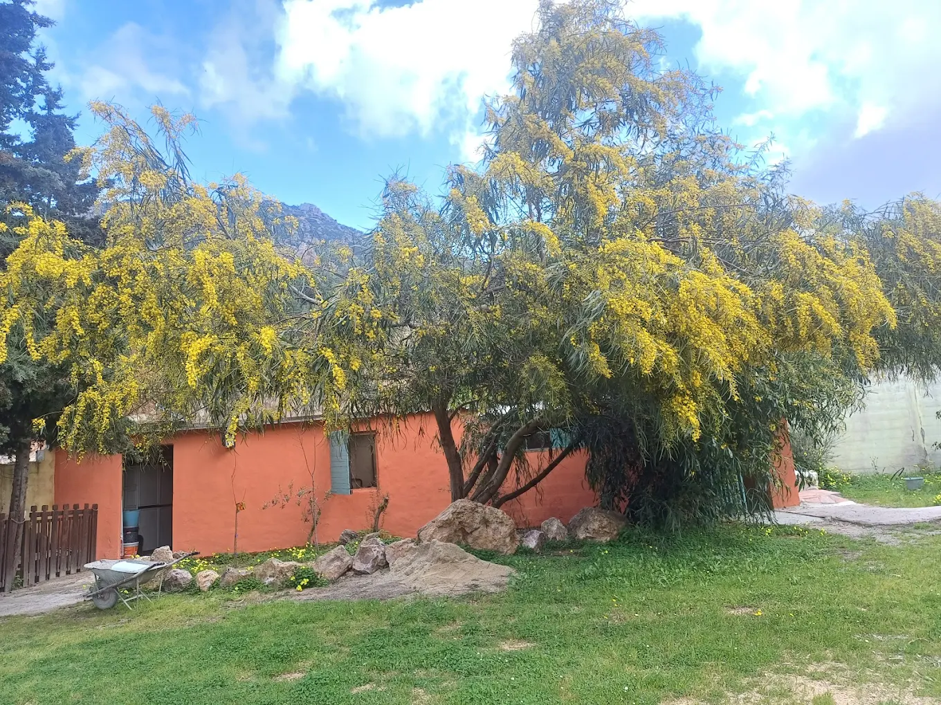 B&B Stella Sulcitana