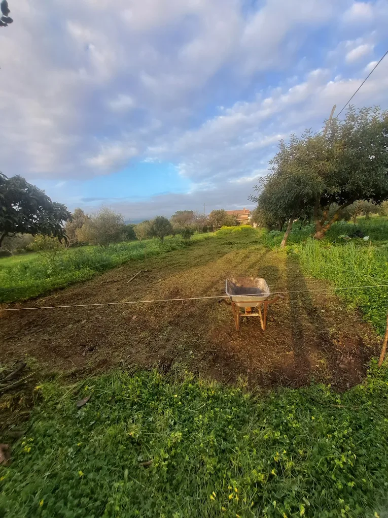 Azienda Agricola BASÙ