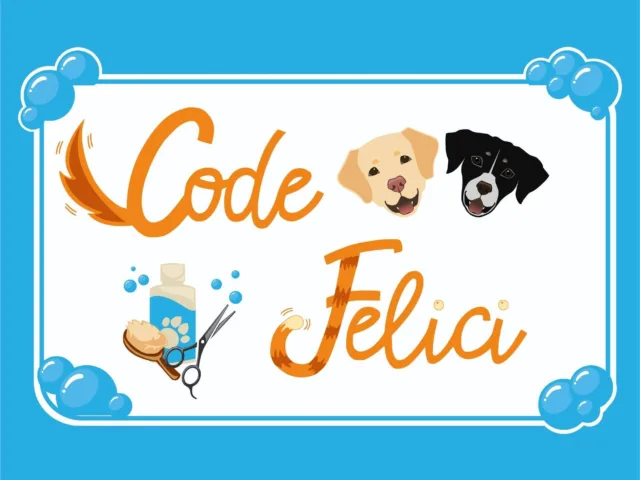 Code Felici