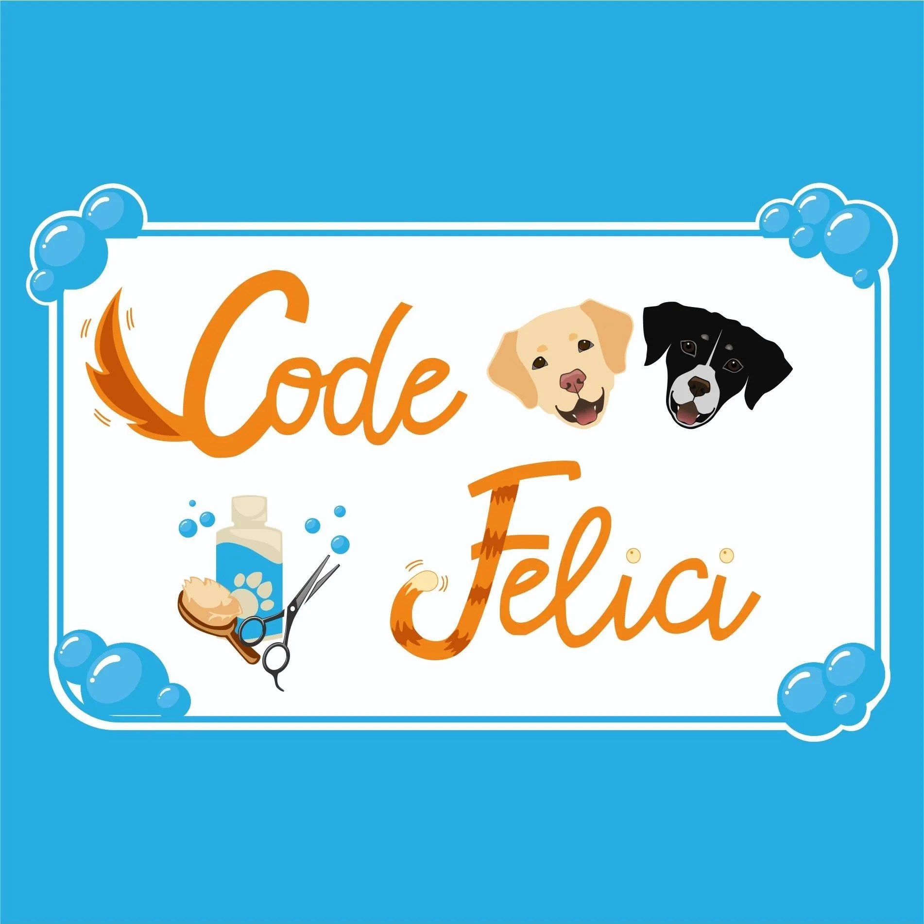 Code Felici