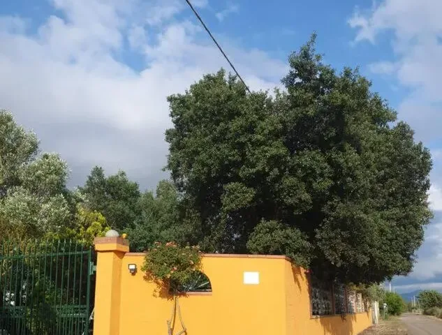 Casa Vacanze Villa Graziella