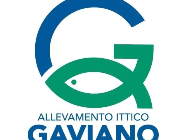 Gaviano S.R.L.
