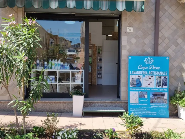 Carpe Diem Laundry Point