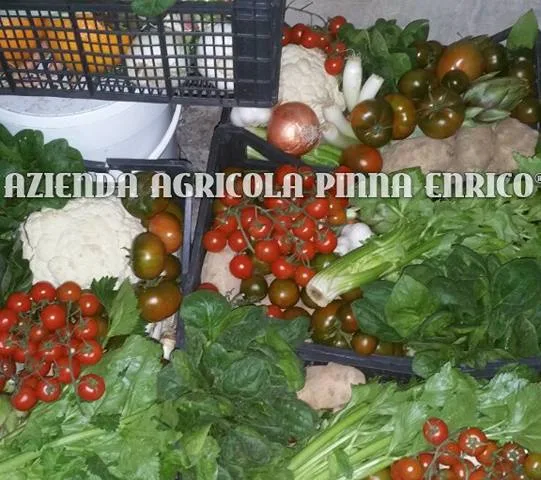 Azienda Agricola Pinna Enrico