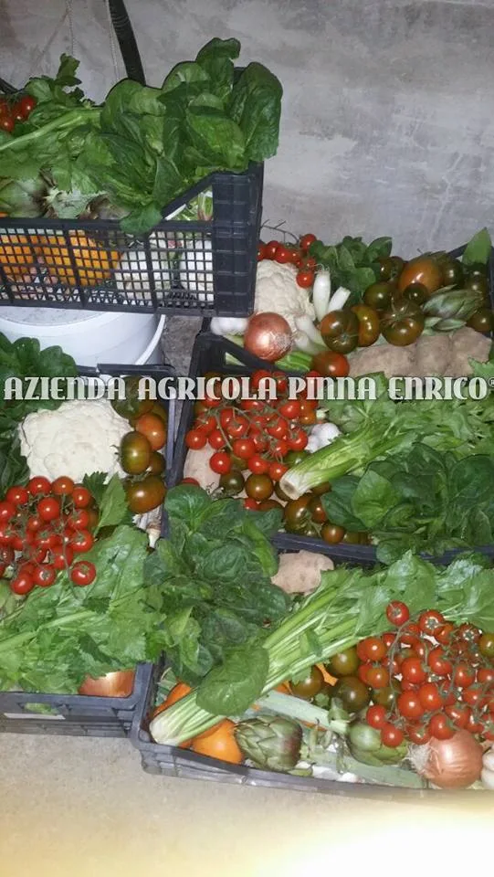 Azienda Agricola Pinna Enrico