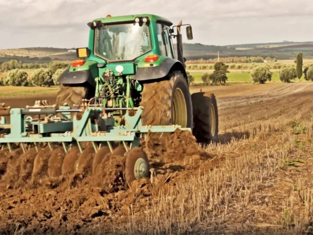 Consorzio Agrario Villamassargia