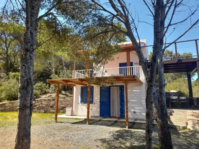 Casa Vacanze in pineta vista mare