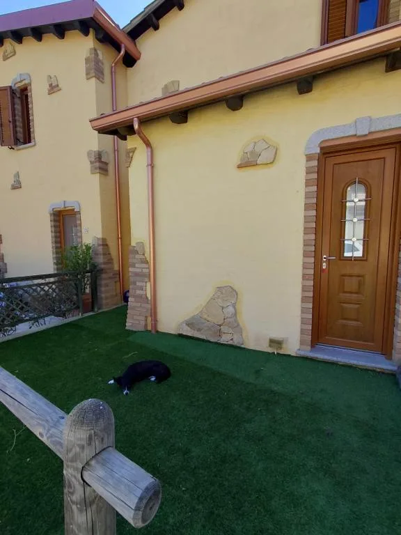 Il Moro