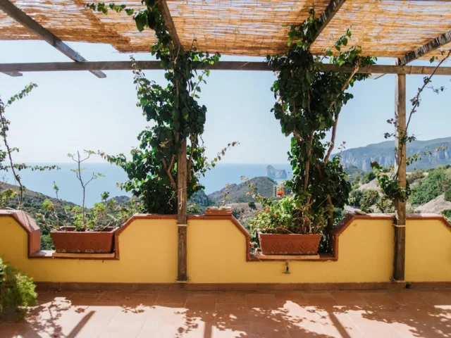 Lemon House