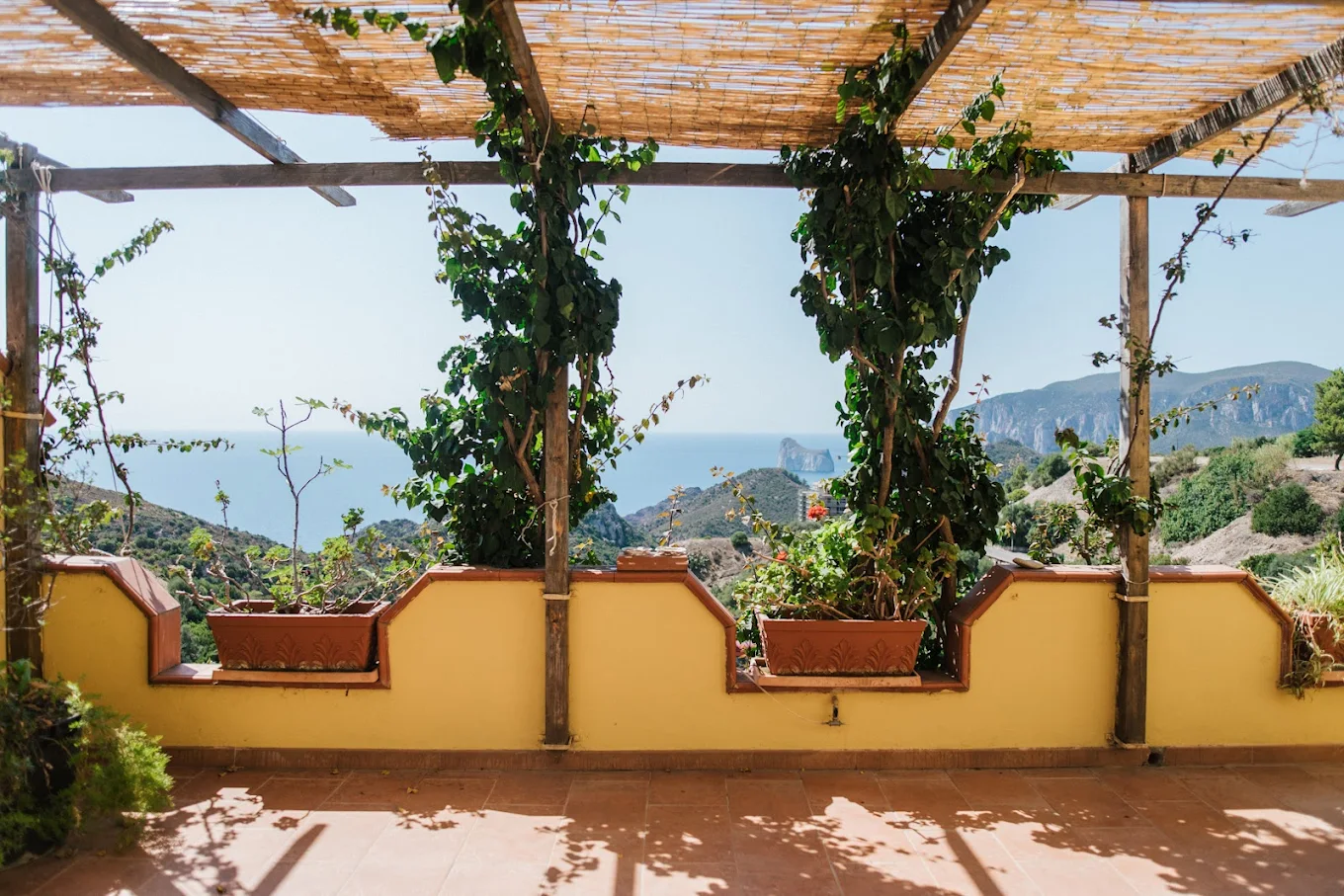 Lemon House