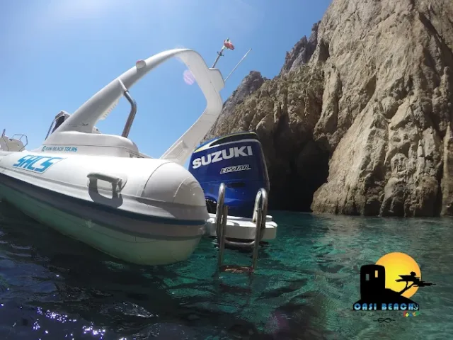 OASI BEACH Tours