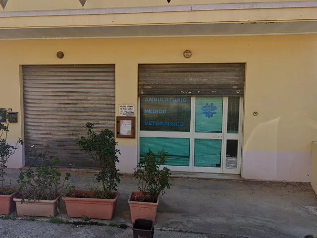 Lucia Ledda Veterinario