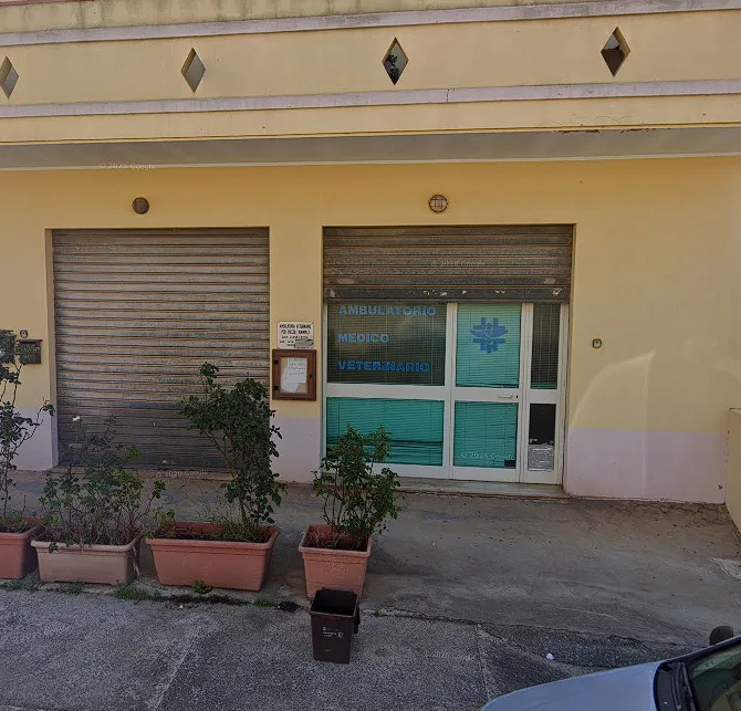 Lucia Ledda Veterinario