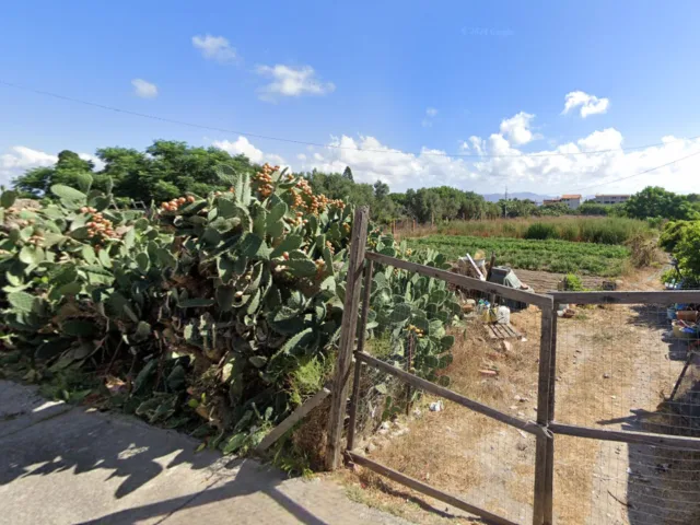 S'Ilixi Mannu Società Agricola