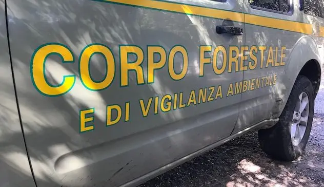 Stazione Forestale di Sant’Antioco