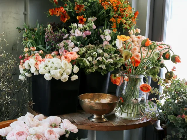 Fioricoltura L’Angolo Verde