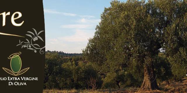 Frantoio Oleario Sa Semidana