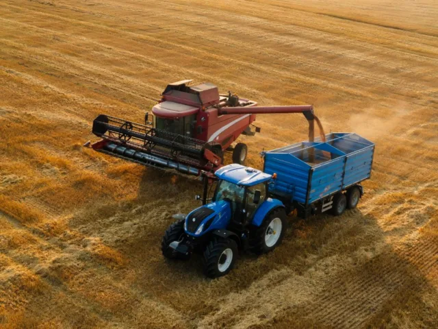 Con.Sab. di Sabiu Federico & C. S.a.s.