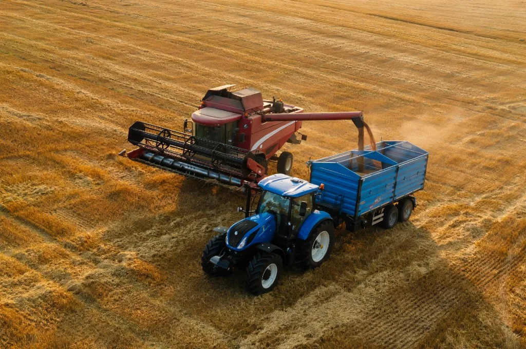 Con.Sab. di Sabiu Federico & C. S.a.s.