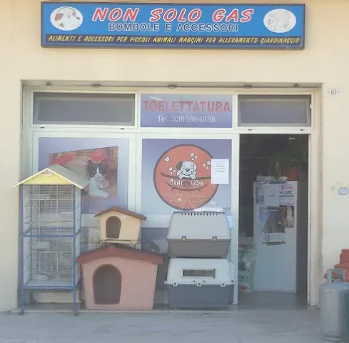 Non Solo Gas