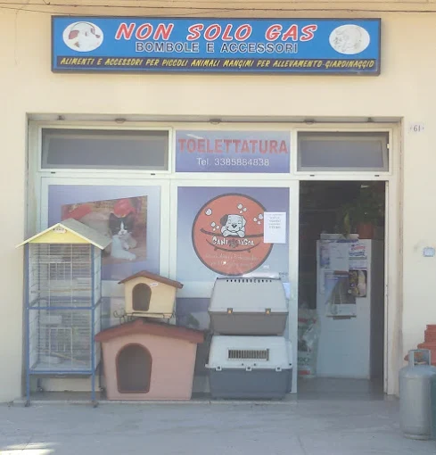 Non Solo Gas