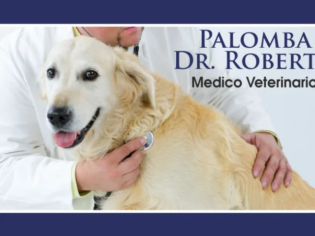 Ambulatorio Veterinario