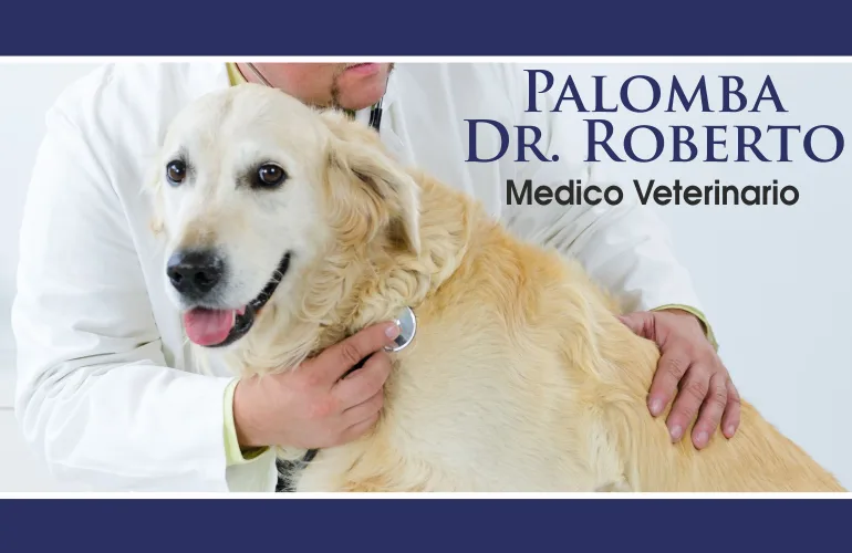 Ambulatorio Veterinario