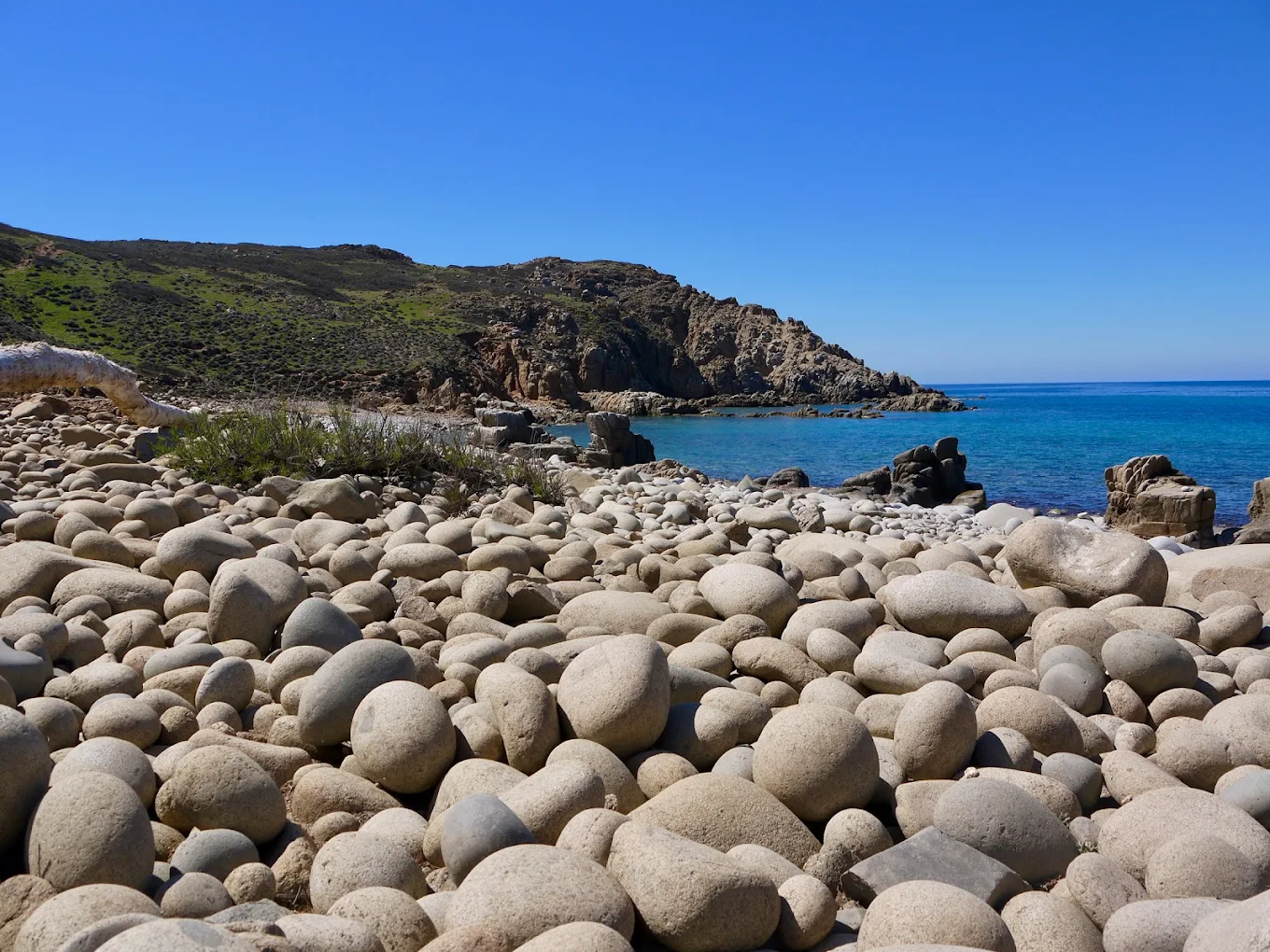 Where Sardinia