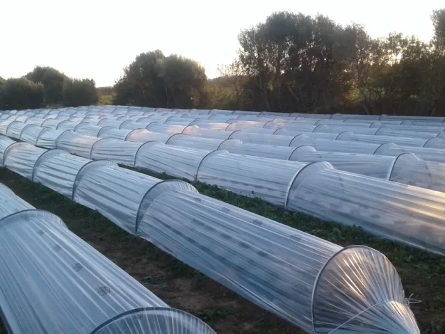 Vendita Attrezzi Agricoli E Ricambi