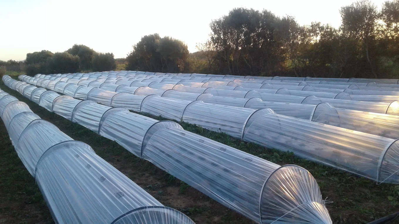 Vendita Attrezzi Agricoli E Ricambi