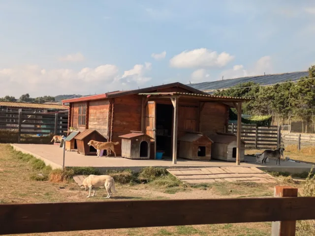 Canile di Carbonia