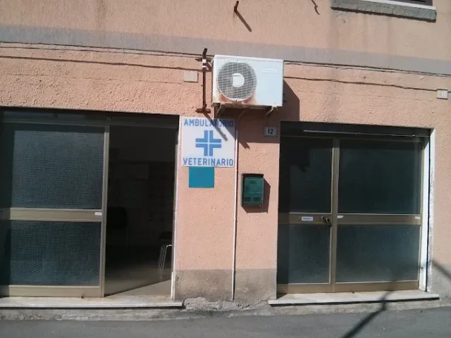 Ambulatorio Veterinario