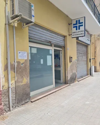 Ambulatorio Veterinario dott. Roberto Palomba