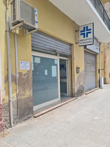 Ambulatorio Veterinario dott. Roberto Palomba