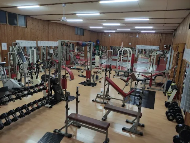 Palestra Orient Sport