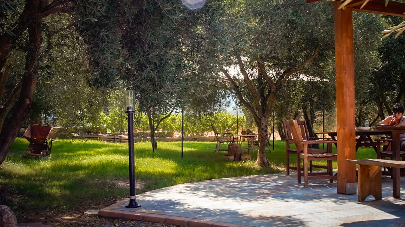 Azienda Vitivinicola & B&B Funtana’e Mari