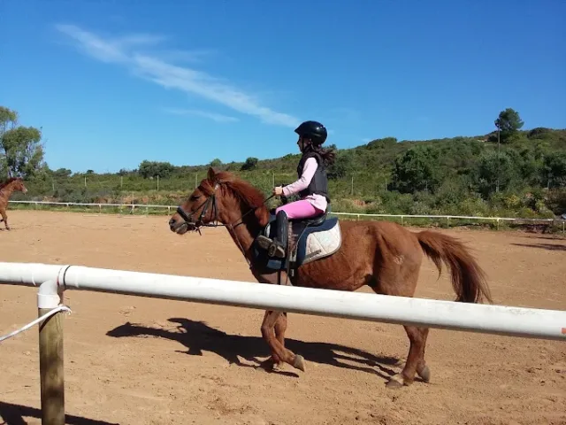 ASD Centro Ippico San Michele