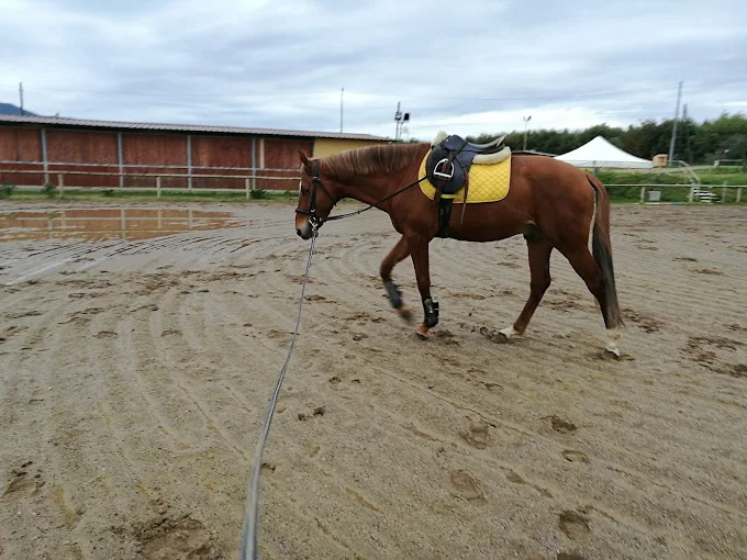 Circolo Ippico Le Vigne