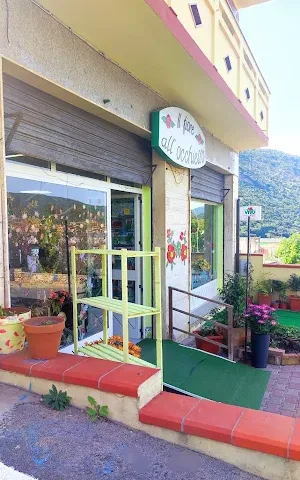 Il Fiore all’Occhiello