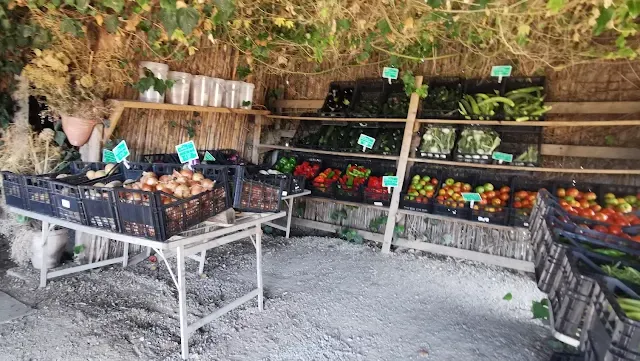 Frutta e verdura Coldiretti